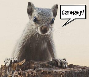 Pekraut - German RAT starts gnawing