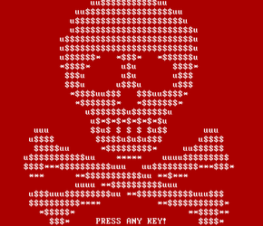 Ransomware Petya - a technical review