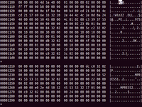 Screenshot of the identification of a Windows binary