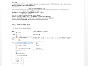 The embedded equation object does not have any values (Click to enlarge)