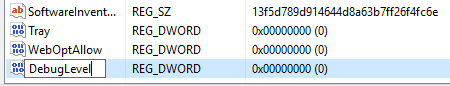 Windows Registry Debug Level