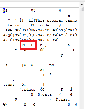 32 bit PE Header in a hex editor