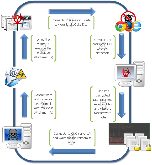 Diagram outlining each infection step