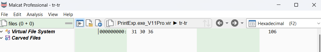 The screenshot shows the Malcat Professional interface with a file named "PrintExp.exe_V11Pro.vir" open for analysis. In hexadecimal view, the file begins with the bytes 31 30 36, which correspond to the ASCII characters "106".
